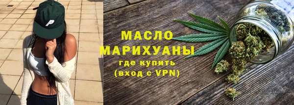 хмурый Арсеньев