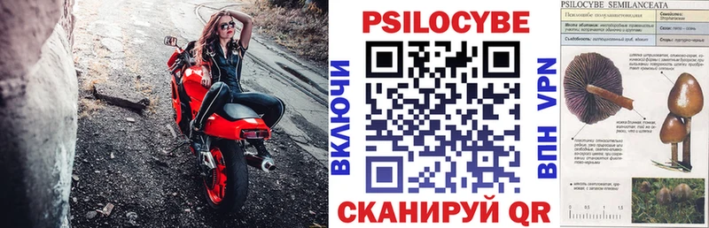 Галлюциногенные грибы Magic Shrooms  цены   площадка состав  Грайворон 